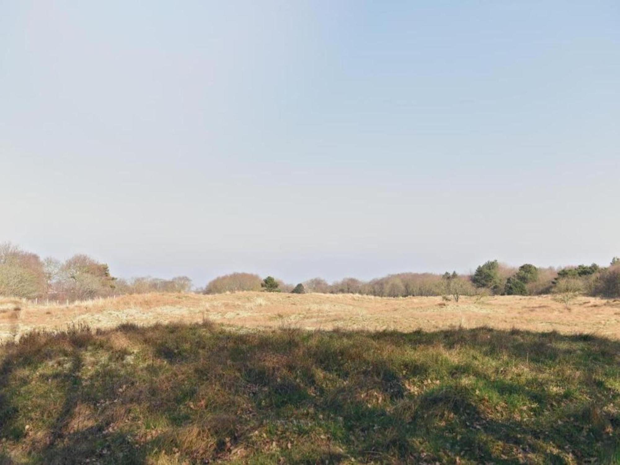 Studio Hazenborgh In Callantsoog Near The Beach Exterior photo